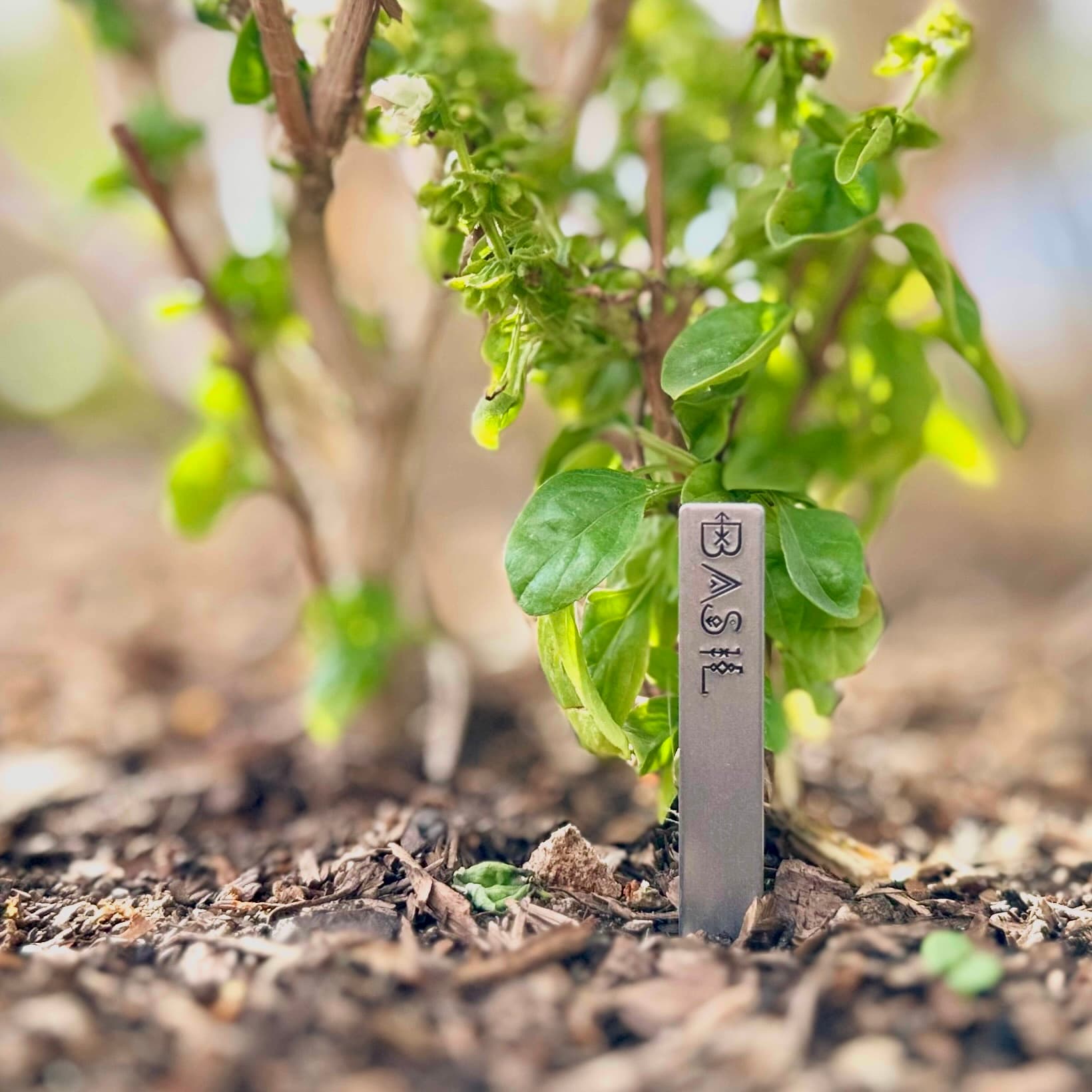 "Gnomeland Security" Garden Art โ photo 3