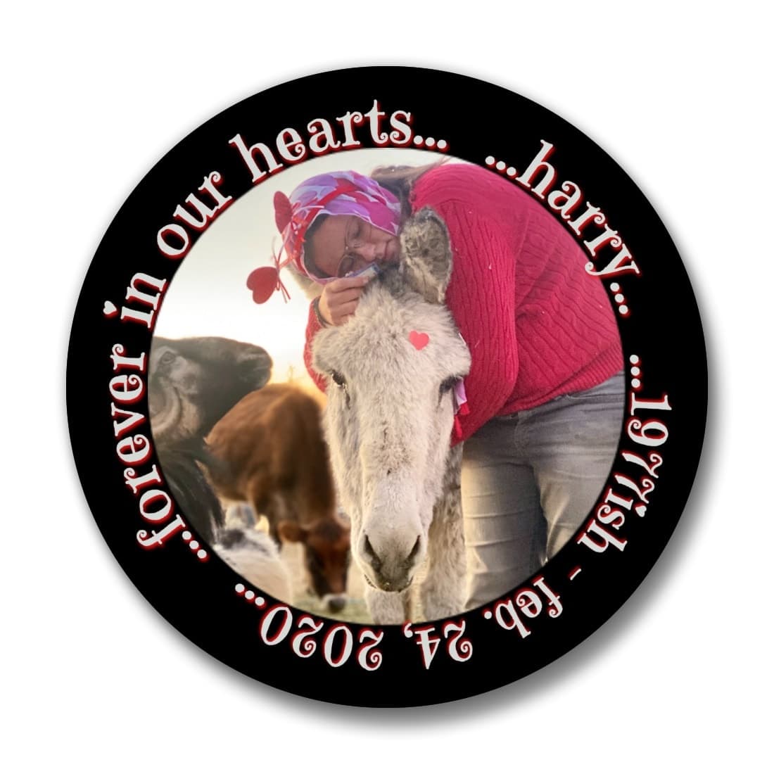 Harry Memorial Button Set โ photo 2