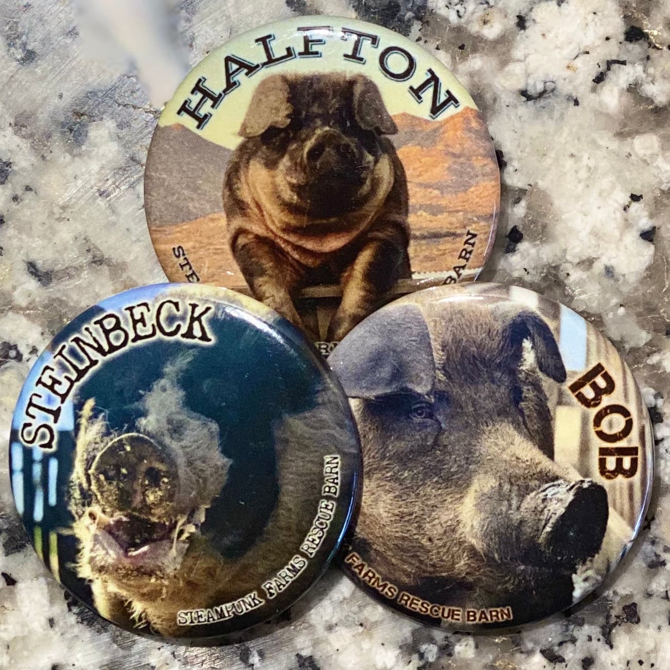 "Kind Of A BIG Deal" Button Set โ Photo Buttons & Souvenirs