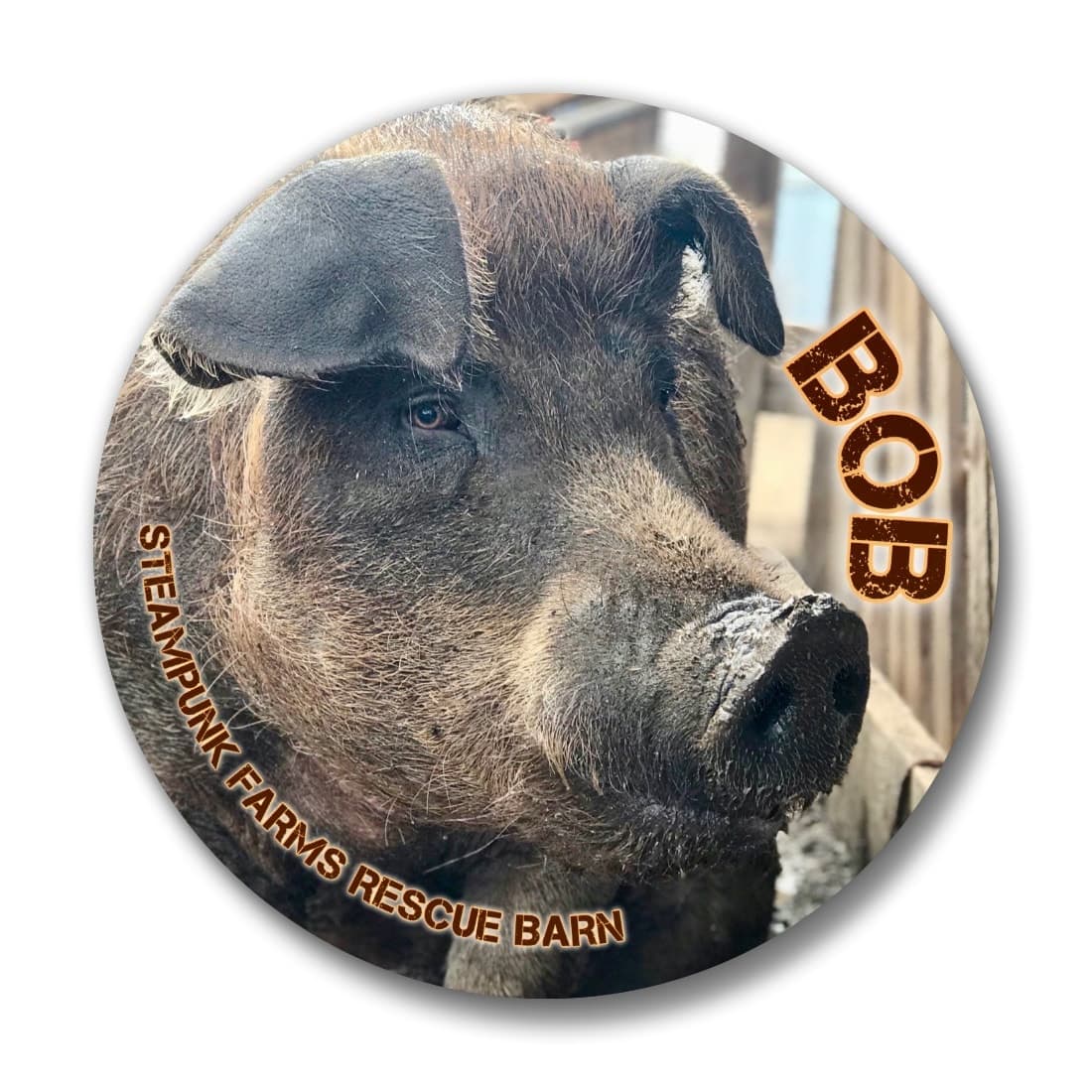 "Kind Of A BIG Deal" Button Set โ photo 2